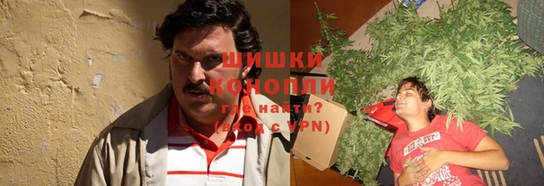 гидра Аркадак