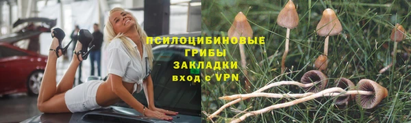 гидра Аркадак